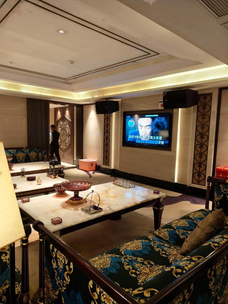 新乡商务ktv计时方式-凤泉区ktv预定